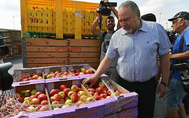 Defense Minsiter Avigdor Liberman visits the Kerem Shalom Crossing on July 22, 2018. (Ariel Hermoni/Defense Ministry) Defense Minsiter Avigdor Liberman visits the Kerem Shalom Crossing on July 22, 2018. (Ariel Hermoni/Defense Ministry)