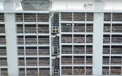 Sheep being shipped for fattening and slaughter in multi-story vessels.  (YouTube screenshot)