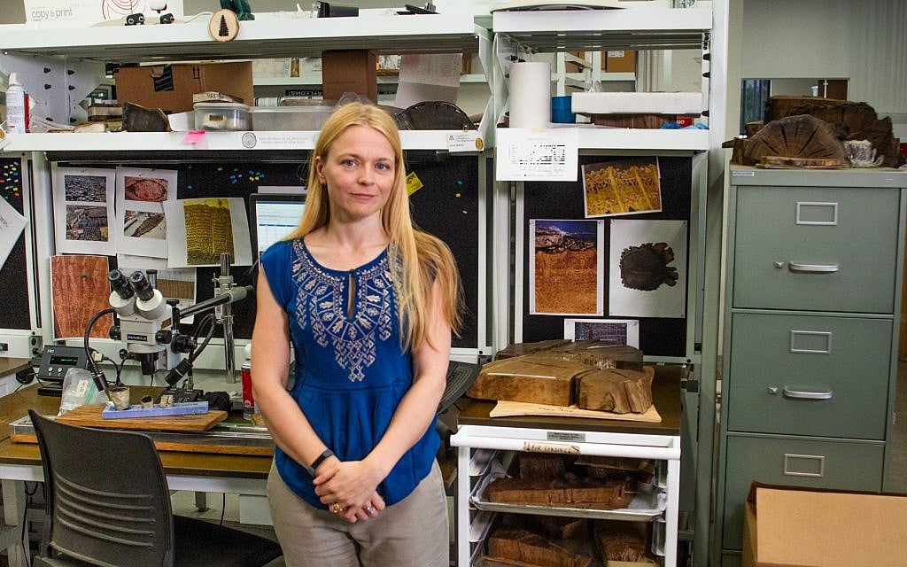 Assistant professor of dendrochronology Dr. Charlotte Pearson in her lab at the University of Arizona. (Robert D. Demers)