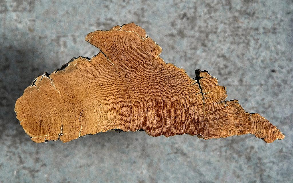 Ancient wood sample used by assistant professor of dendrochronology Dr. Charlotte Pearson in her lab at the University of Arizona. (Robert D. Demers)