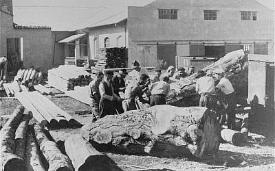 During World War II, Italian Jews at forced labor in the Italian camp at Gorizia (public domain)
