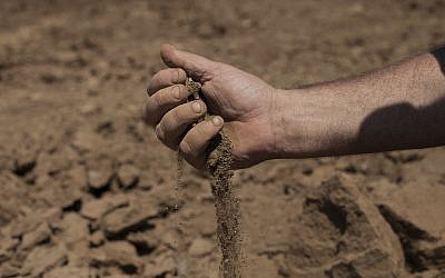 In this July 17, 2018, photo, Israeli farmer Ofer Moskovitz checks soil in his field near Kfar Yuval, Israel (AP Photo/Caron Creighton)