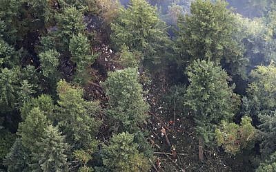 The site on Ketron Island in Washington state where an Horizon Air turboprop plane crashed Friday after it was stolen from Sea-Tac International Airport is seen from the air, Saturday, August 11, 2018, near Steilacoom, Washington. (AP/Ted S. Warren)