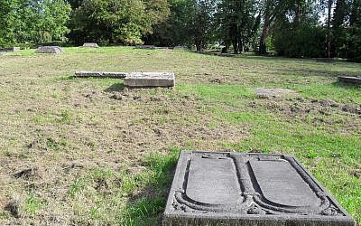 Illustrative image of Netherland's Beth Haim cemetery where headstones are normally covered by grass. (CC BY-SA Marcelmulder68, Wikimedia Commons)