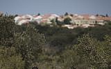 Illustrative: Woods near Zichron Yaakov (Hadas Parush/Flash90)