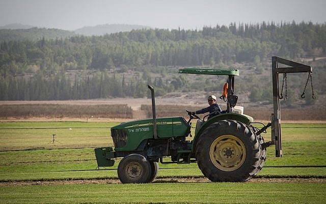A Thai worker farms the land of Neve Shalom, near Latrun between Jerusalem and Tel Aviv, November 22, 2016 (Hadas Parush/Flash90) A Thai worker farms the land of Neve Shalom, near Latrun between Jerusalem and Tel Aviv, November 22, 2016 (Hadas Parush/Flash90)