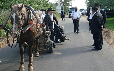 Rabbi Jehoshua Raskin shares a ride with other visitors to Lyubavichi, Russia, August 26, 2018. (Cnaan Liphshiz)
