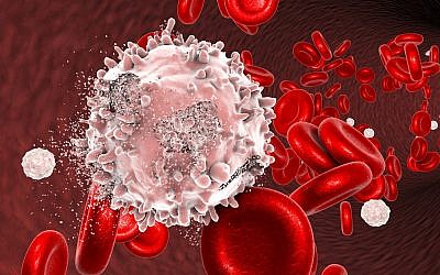 Illustrative image of the destruction of a leukemia cell (Dr_Microbe, iStock by Getty Images)