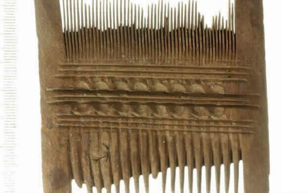 Louse comb from Ein Gedi, Roman period, made of Acacia (Clara Amit/Israel Antiquities Authority)