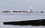 This photo provided by Blue Flag Construction shows an Air Niugini plane floating in Pacific lagoon after its crash-landing in Pacific lagoon near Chuuk Airport in Weno, Federated States of Micronesia, September 28, 2018. (Blue Flag Construction via AP)