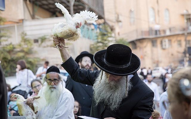 Ultra-Orthodox Jews perform the kaparot ritual on September 16, 2018, in the ultra-
Orthodox neighborhood of Mea Shearim, in Jerusalem. (Noam Revkin Fenton/Flash90) Ultra-Orthodox Jews perform the kaparot ritual on September 16, 2018, in the ultra-
Orthodox neighborhood of Mea Shearim, in Jerusalem. (Noam Revkin Fenton/Flash90)