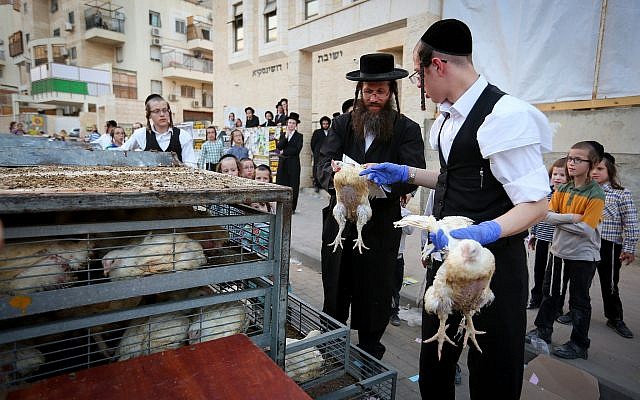 Ultra Orthodox Jews perform the kaparot ritual on September 16, 2018, in Bet Shemesh, outside of Jerusalem. (Yaakov Lederman/Flash90) Ultra Orthodox Jews perform the kaparot ritual on September 16, 2018, in Bet Shemesh, outside of Jerusalem. (Yaakov Lederman/Flash90)