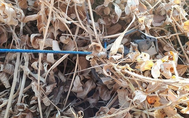 A grenade attached to a balloon found outside Kibbutz Re'im near the Gaza border on September 18, 2018. (Israel Police) A grenade attached to a balloon found outside Kibbutz Re'im near the Gaza border on September 18, 2018. (Israel Police)