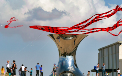Kites will fly at the Israel Museum's annual Kite Festival, held this year on September 25, 2018 (Courtesy Benny Maor)