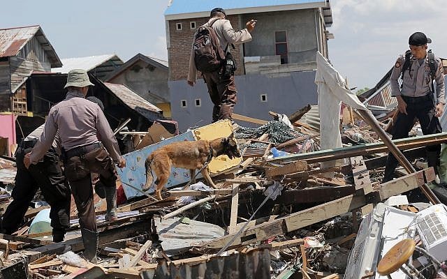 A police K9 unit continues to search for victims in the wreckage following earthquakes and tsunami in Palu, Central Sulawesi Indonesia, October 3, 2018. (Tatan Syuflana/AP) A police K9 unit continues to search for victims in the wreckage following earthquakes and tsunami in Palu, Central Sulawesi Indonesia, October 3, 2018. (Tatan Syuflana/AP)