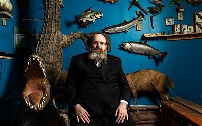 Rabbi Shaul Shimon Deutsch, founder of Torah Animal World next to the 16-foot Nile crocodile -- his favorite animal in the museum. (Micah B. Rubin/ Times of Israel)