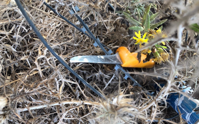 A knife hidden by a Palestinian man near the settlement of Har Adar, which he purportedly intended to use in a stabbing attack (Israel Police) A knife hidden by a Palestinian man near the settlement of Har Adar, which he purportedly intended to use in a stabbing attack (Israel Police)