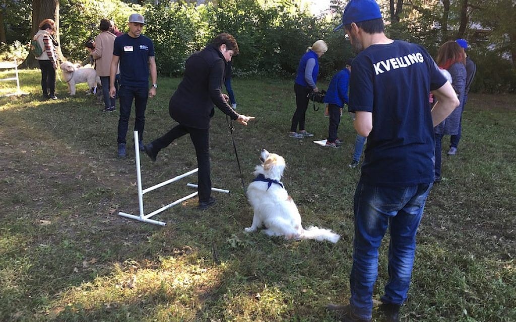 Ann Toback, executive director of the Workmen’s Circle, demonstrates the “shpring” command with her dog, Jesse, at a “Yiddish for Dogs” workshop in New York’s Central Park, Sept. 30, 2018. Dog trainer Miguel Rodriguez, left, and Yiddishist Leyzer Burko, right, led the workshop. (Josefin Dolsten/JTA) Ann Toback, executive director of the Workmen’s Circle, demonstrates the “shpring” command with her dog, Jesse, at a “Yiddish for Dogs” workshop in New York’s Central Park, Sept. 30, 2018. Dog trainer Miguel Rodriguez, left, and Yiddishist Leyzer Burko, right, led the workshop. (Josefin Dolsten/JTA)