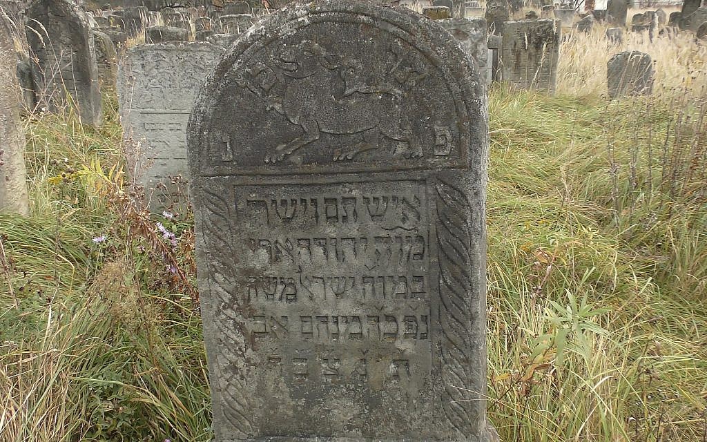 Headstones in the Jewish cemetery of Kalush, Ukraine. (Bernard Dichek/ Times of Israel)