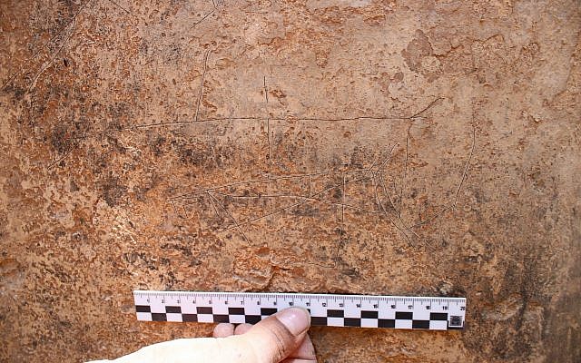 Engravings of ships and zoomorphs were discovered during an archaeological excavation executed by the Israel Antiquities Authority in Beersheba, summer 2018. (Davida Eisenberg-Degen/IAA)