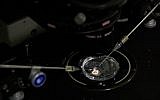 In this Oct. 9, 2018 photo, an embryo receives a small dose of Cas9 protein and PCSK9 sgRNA in a sperm injection microscope in a laboratory in Shenzhen in southern China's Guangdong province. (AP/Mark Schiefelbein)
