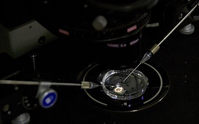 In this Oct. 9, 2018 photo, an embryo receives a small dose of Cas9 protein and PCSK9 sgRNA in a sperm injection microscope in a laboratory in Shenzhen in southern China's Guangdong province. (AP/Mark Schiefelbein)