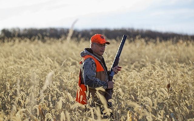 Rep. Steve King, R-Iowa, at a pheasant hunt in Akron, Iowa, Saturday, October 26, 2013. (AP/Nati Harnik) Rep. Steve King, R-Iowa, at a pheasant hunt in Akron, Iowa, Saturday, October 26, 2013. (AP/Nati Harnik)