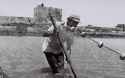 A fisherman laying his net in a fish pond at Kurdani Harbor, near Haifa (GPO, Public Domain/Wikimedia Commons)