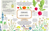 A page from 'A Year in the Garden' calendar by Ilana Stein, a Bezalel Academy trained illustrator and graphic designer who puts her love for home agriculture on the page. (Courtesy, A Year in the Garden)