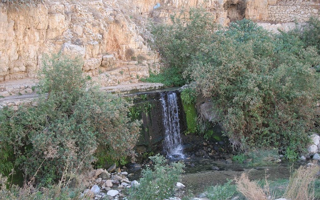 A waterfall at the Ein Fawwar spring in the Judean Desert. (Shmuel Bar-Am)