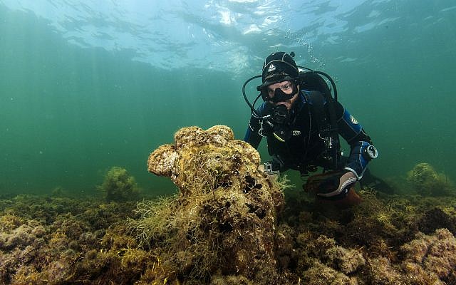 In this Sunday, Sept. 14, 2008 underwater photo, a diver observes a pen shell on the seabed in the Aegean Sea (Yiannis Issaris via AP) In this Sunday, Sept. 14, 2008 underwater photo, a diver observes a pen shell on the seabed in the Aegean Sea (Yiannis Issaris via AP)