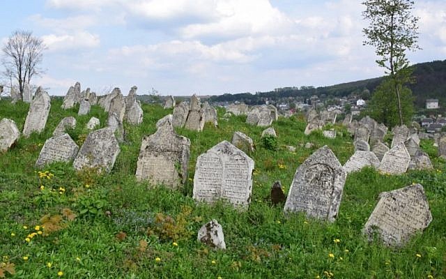 The late-16th century Buchach Jewish cemetery in western Ukraine has some 2,000 gravestones. (Courtesy/ESJF). The late-16th century Buchach Jewish cemetery in western Ukraine has some 2,000 gravestones. (Courtesy/ESJF).