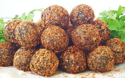 The Algalafel developed by graduate students of the Technion, is a new kind of falafel enriched with spirulina -- a biomass of blue-green algae  which in its dried form contains about 60% protein (Courtesy)