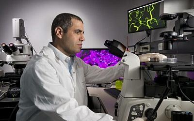 Prof. Tal Dvir of Tel Aviv University (Courtesy TAU) Prof. Tal Dvir of Tel Aviv University (Courtesy TAU)