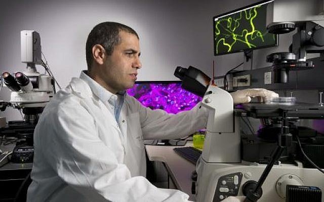 Prof. Tal Dvir of Tel Aviv University (Courtesy TAU)
