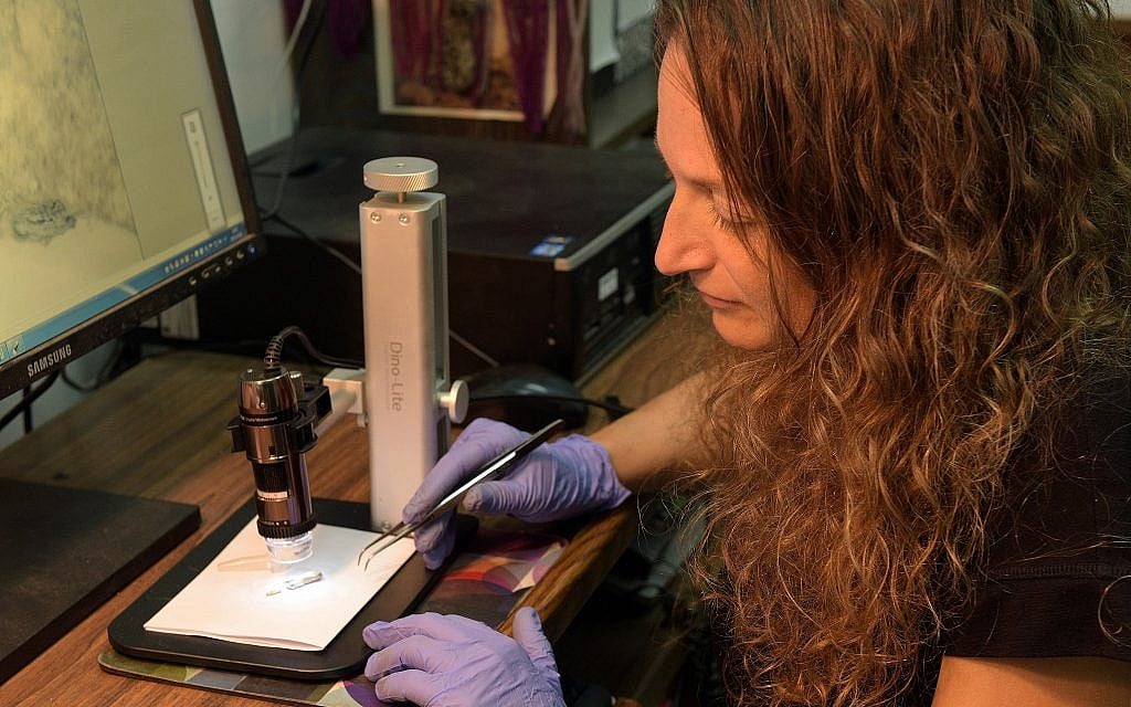 Dr. Naama Sukenik of the Israel Antiquities Authority examines the Byzantine-period flax wick that was used to light lamps some 1,500 years ago, discovered in the 1930s American Colt expedition to the Negev site of Shivta. (Clara Amit, Israel Antiquities Authority)