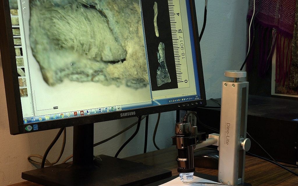 Examination of the Byzantine-period flax wick that was used to light lamps some 1,500 years ago, discovered in the 1930s American Colt expedition to the Negev site of Shivta. (Clara Amit, Israel Antiquities Authority)