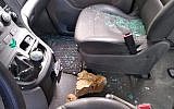 A rock reportedly thrown by Israeli settlers is seen inside of a Palestinian car near the northern West Bank settlement of Yitzhar on December 13, 2018. (B'Tselem)