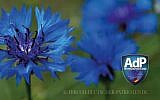 The Awakening of German Patriots party logo features a blue cornflower (Facebook)