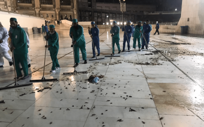 Cleaning crews clear locusts out of the Great Mosque in Mecca, January 7, 2019 (screen capture: Twitter)