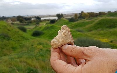 A 2,200-year-old, Hellenistic-era horse figurine discovered near Tel Akko. (Nir Distelfeld, Israel Antiquities Authority)