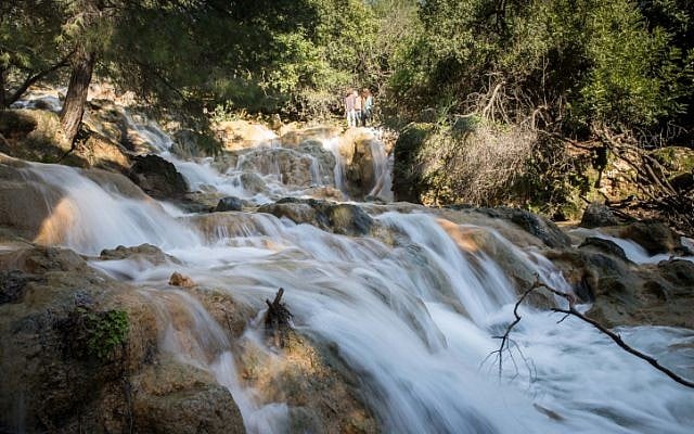 The Farod waterfalls flow after heavy rains in the Lower Galilee on January 19, 2019. (Hadas Parush/Flash90) The Farod waterfalls flow after heavy rains in the Lower Galilee on January 19, 2019. (Hadas Parush/Flash90)