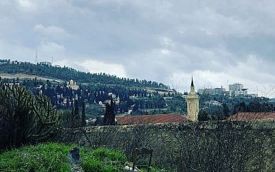 The view from the ancient terraces surrounding Ilana Stein's Ein Kerem home (Jessica Steinberg/Times of Israel)