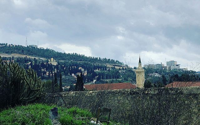 The view from the ancient terraces surrounding Ilana Stein's Ein Kerem home (Jessica Steinberg/Times of Israel) The view from the ancient terraces surrounding Ilana Stein's Ein Kerem home (Jessica Steinberg/Times of Israel)