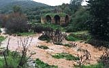 The Zalmon Stream in northern Israel swells with rain on January 9, 2018.  (Nadav Bartan/Nature and Parks Authority)
