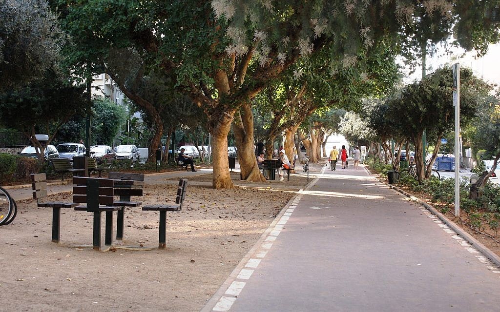 Several species of trees line Ben Gurion Boulevard. (Shmuel Bar-Am)
