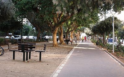 Several species of trees line Ben Gurion Boulevard. (Shmuel Bar-Am)