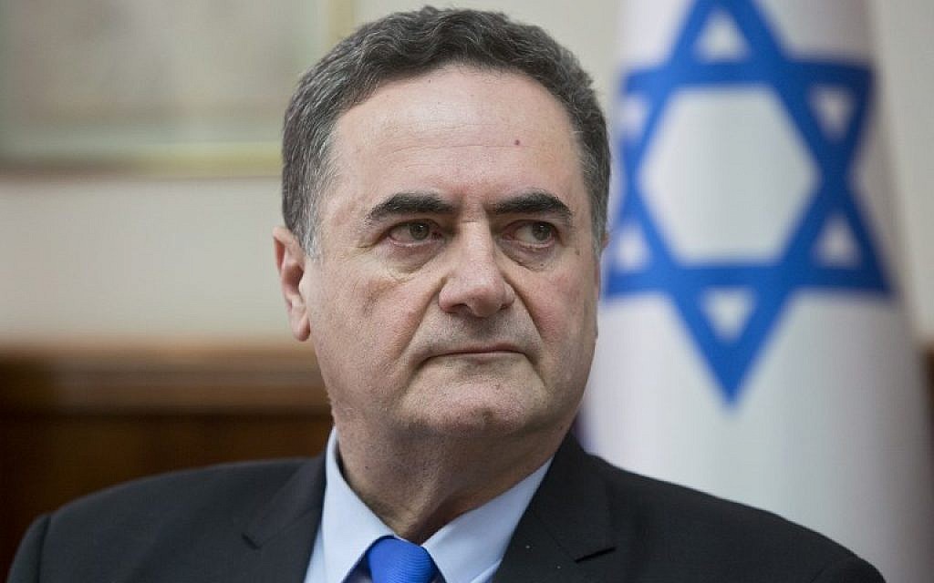 Israel Katz attends the weekly cabinet meeting at the Prime Minister's Office in Jerusalem on February 17, 2019. (Sebastian Scheiner/Pool/AFP)