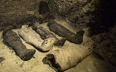Mummies lie in a recently discovered burial chamber in the desert province of Minya, south of Cairo, Egypt on February 2, 2019. (AP Photo/Roger Anis)