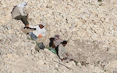 Suspected antiquities burglars spotted by the Civil Administration's Archaeology Unit and Nature Authority this week near the Jordan Valley archaeological site of Tana a-Tahta. (COGAT Spokesperson's Office)